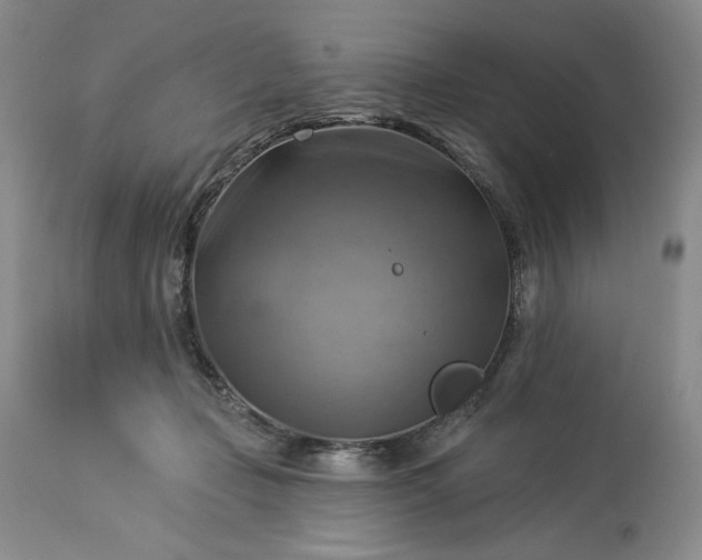 X0000113340365200909291036