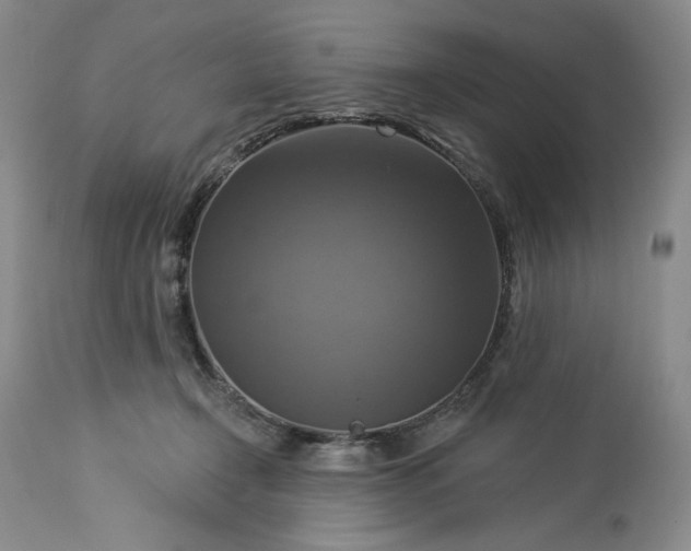 X0000113340366200909291036