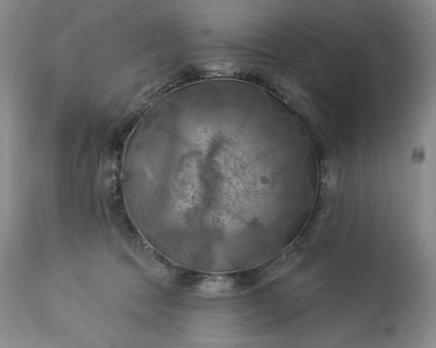 X0000113340369200909291036