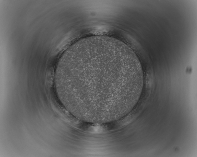 X0000113340370200909291036