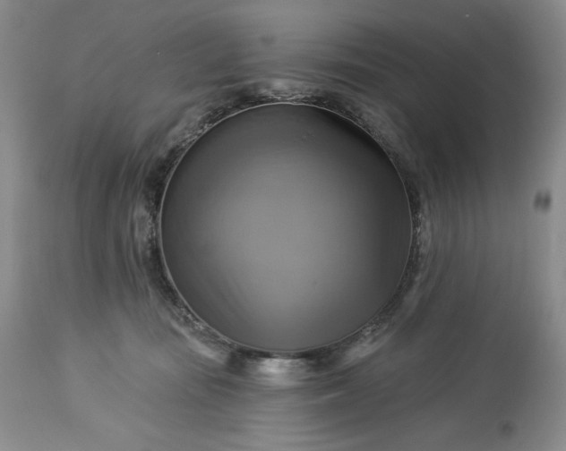 X0000113340371200909291036