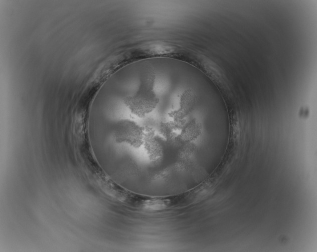 X0000113340373200909291036