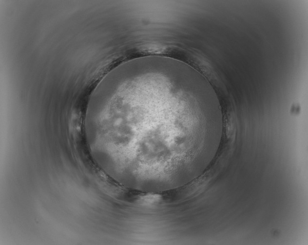 X0000113340374200909291036