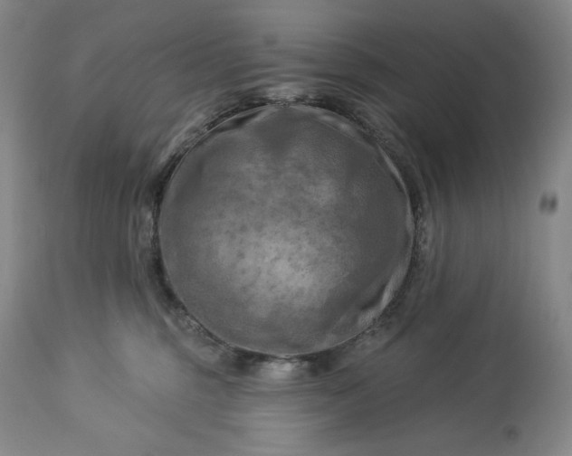 X0000113340375200909291036