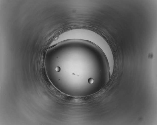 X0000113340376200909291036