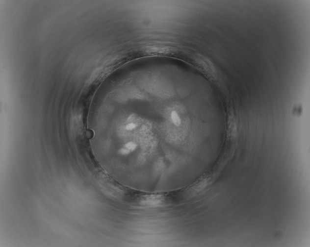 X0000113340377200909291036