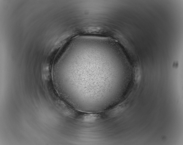 X0000113340378200909291036