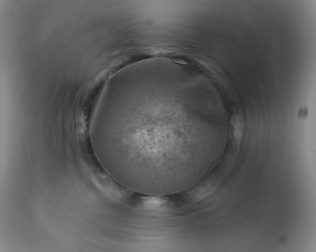 X0000113340380200909291036