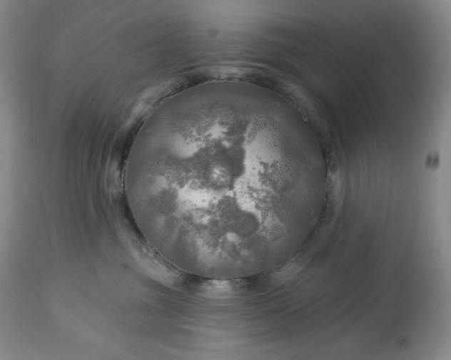 X0000113340381200909291036