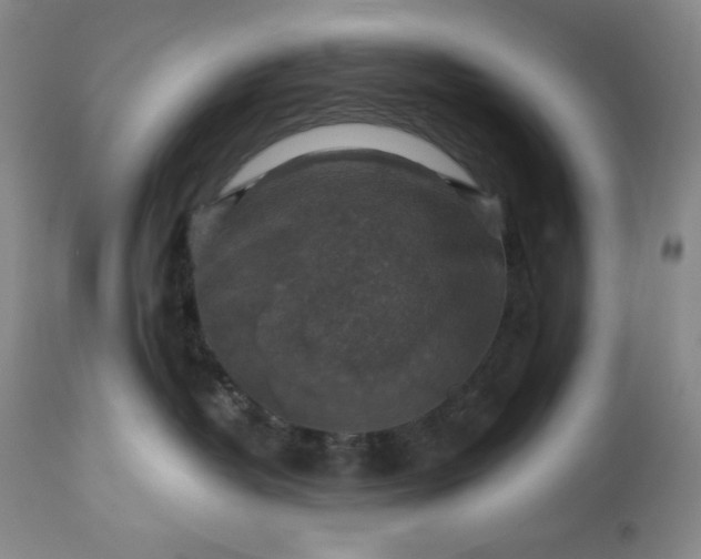 X0000113340382200909291036