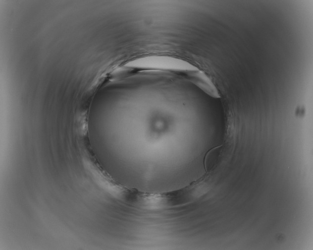 X0000113340383200909291036