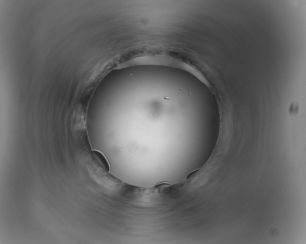 X0000113340384200909291036