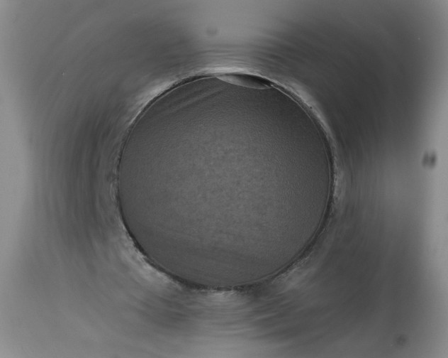 X0000113340385200909291035