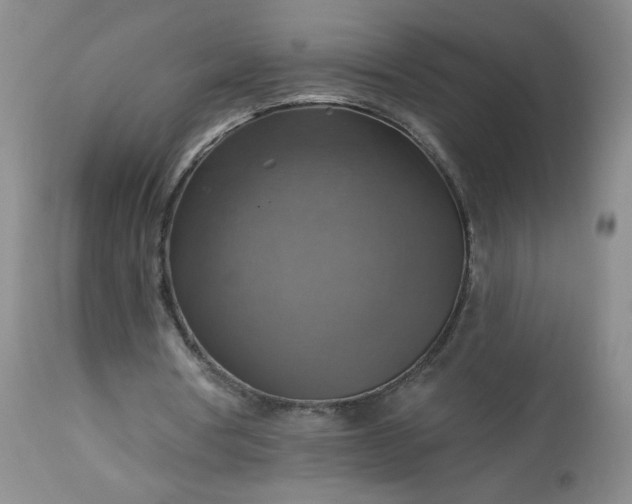 X0000113340386200909291035