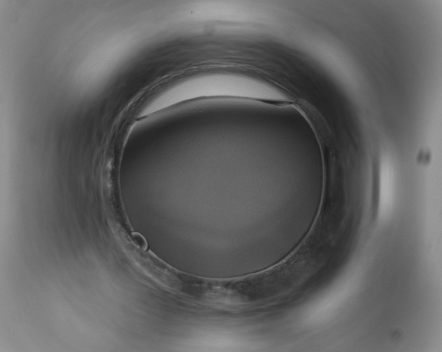 X0000113340387200909291035