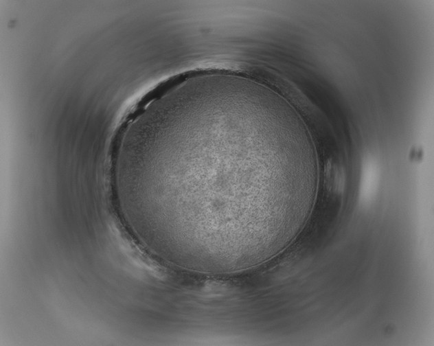 X0000113340388200909291035