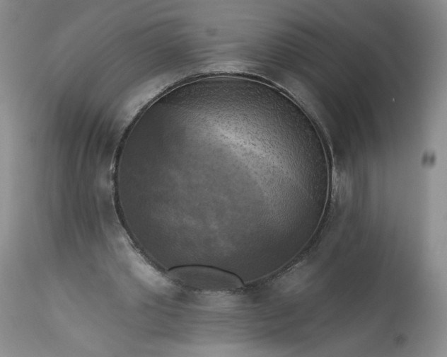 X0000113340389200909291035