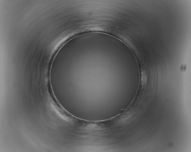 X0000113340390200909291035