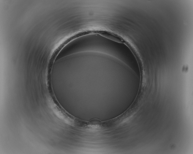 X0000113340391200909291035