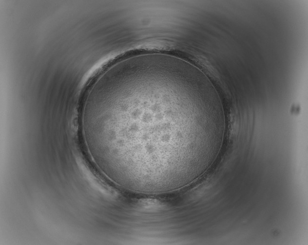 X0000113340392200909291035