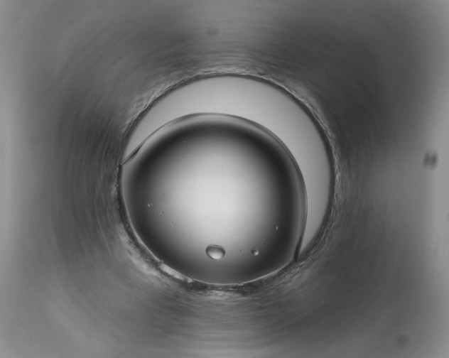 X0000113340393200909291035