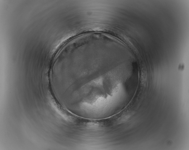 X0000113340394200909291035