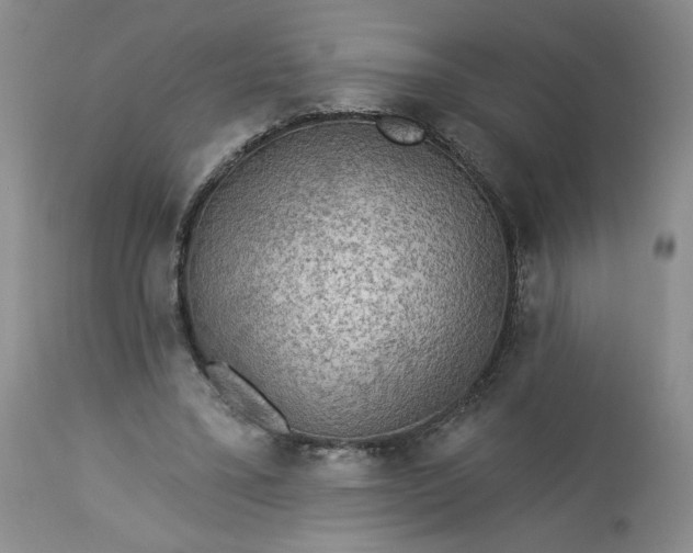 X0000113340395200909291035