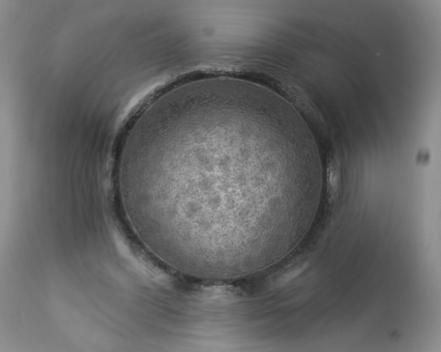 X0000113340396200909291035