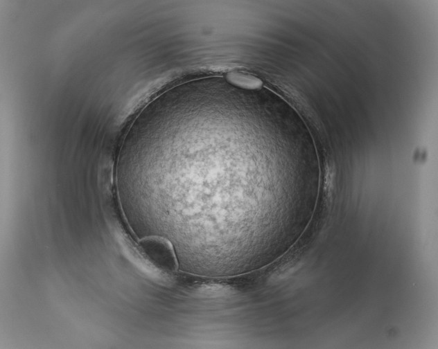 X0000113340397200909291035