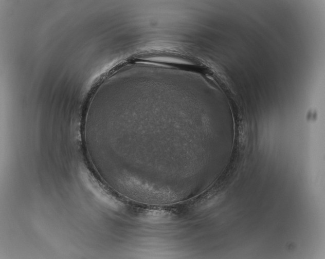 X0000113340399200909291035