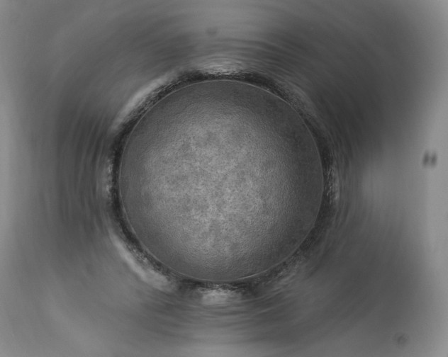 X0000113340400200909291035