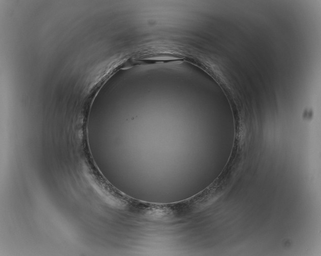 X0000113340402200909291035