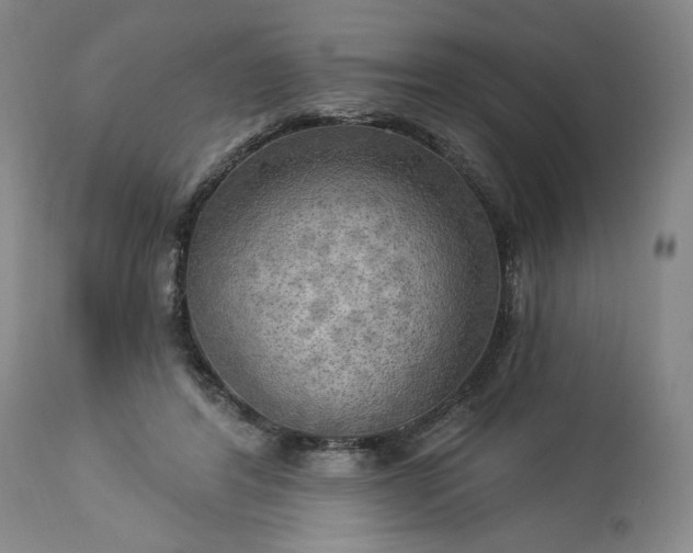 X0000113340404200909291035