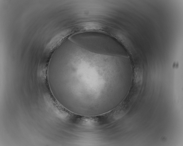 X0000113340405200909291035