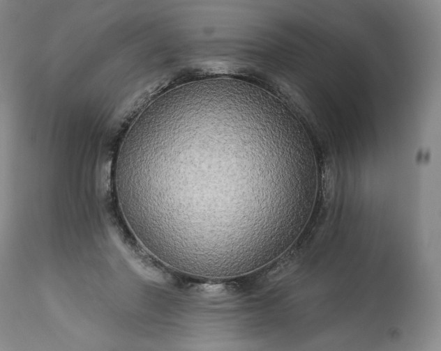 X0000113340406200909291035