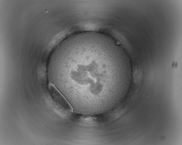 X0000113340407200909291035