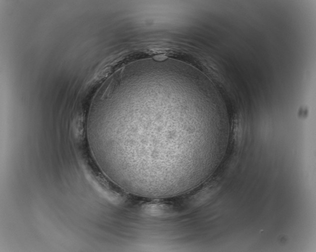 X0000113340408200909291035