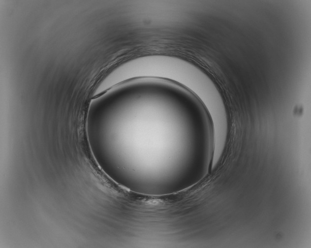 X0000113340409200909291035