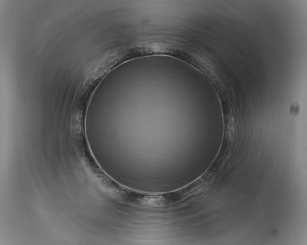 X0000113340410200909291035