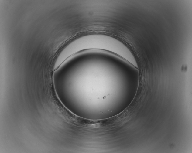 X0000113340411200909291035