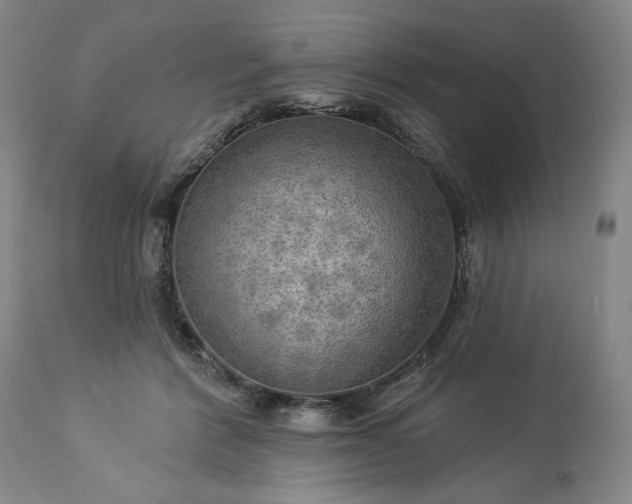 X0000113340412200909291035