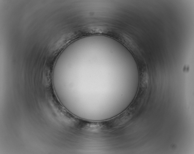 X0000113340414200909291035