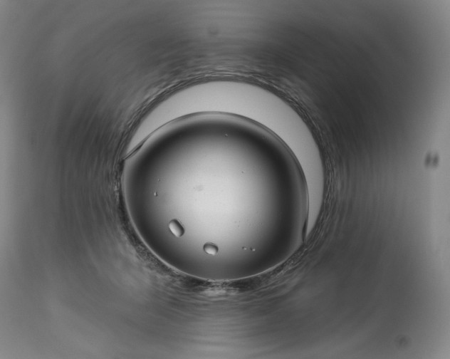 X0000113340415200909291035