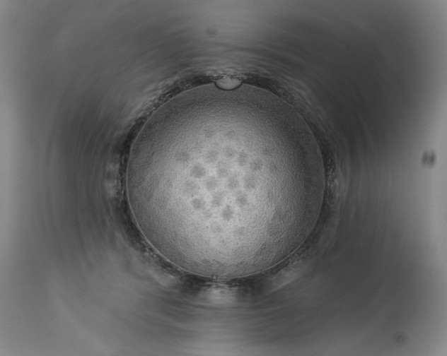 X0000113340416200909291035