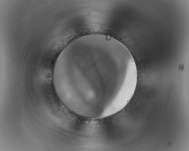 X0000113340419200909291035