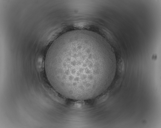 X0000113340420200909291035