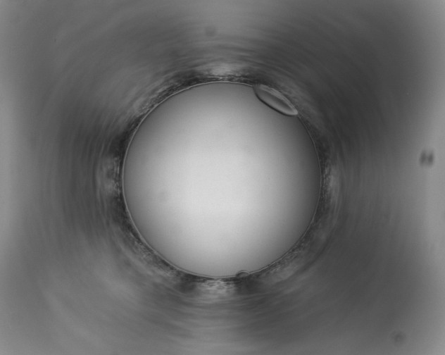 X0000113340421200909291035