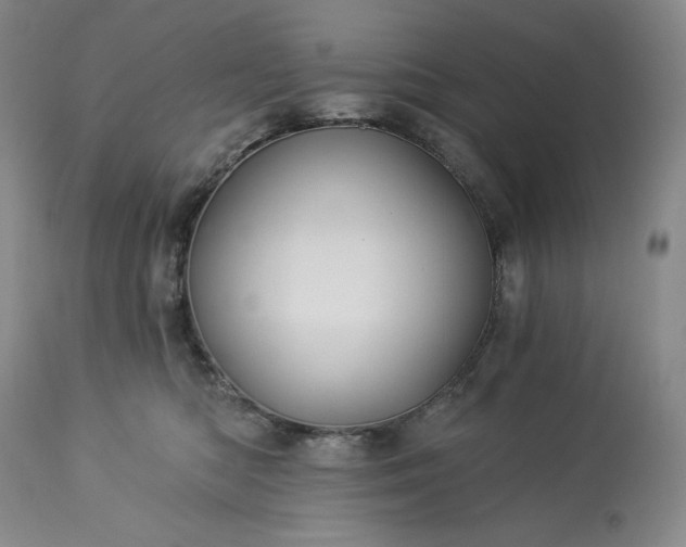 X0000113340422200909291035