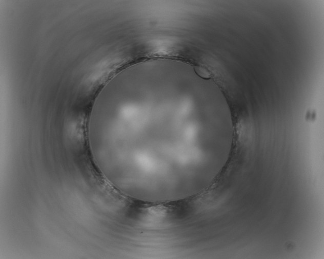 X0000113340423200909291035