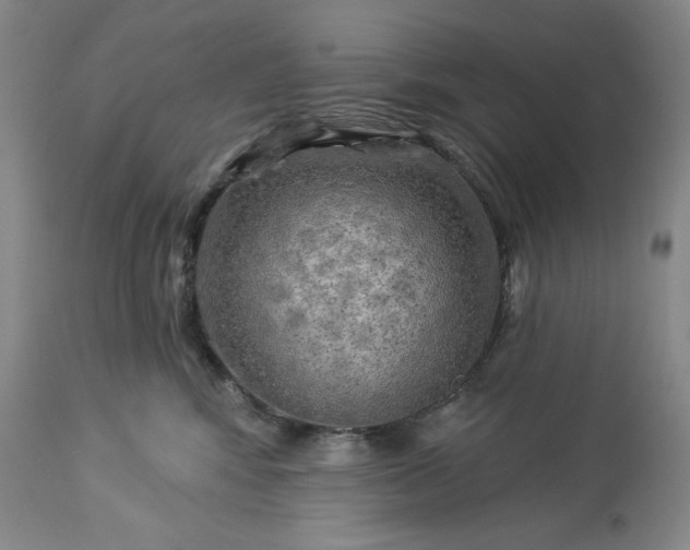 X0000113340424200909291035